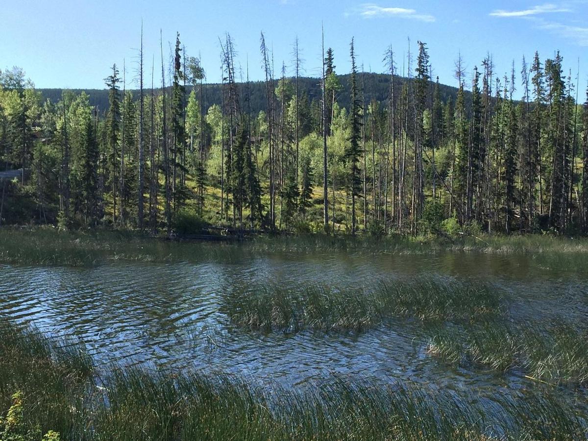 Lac Le Jeune Nature Resort Logan Lake Экстерьер фото