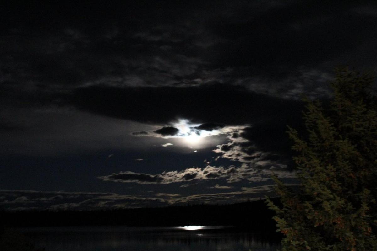 Lac Le Jeune Nature Resort Logan Lake Экстерьер фото