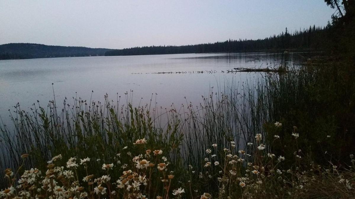 Lac Le Jeune Nature Resort Logan Lake Экстерьер фото